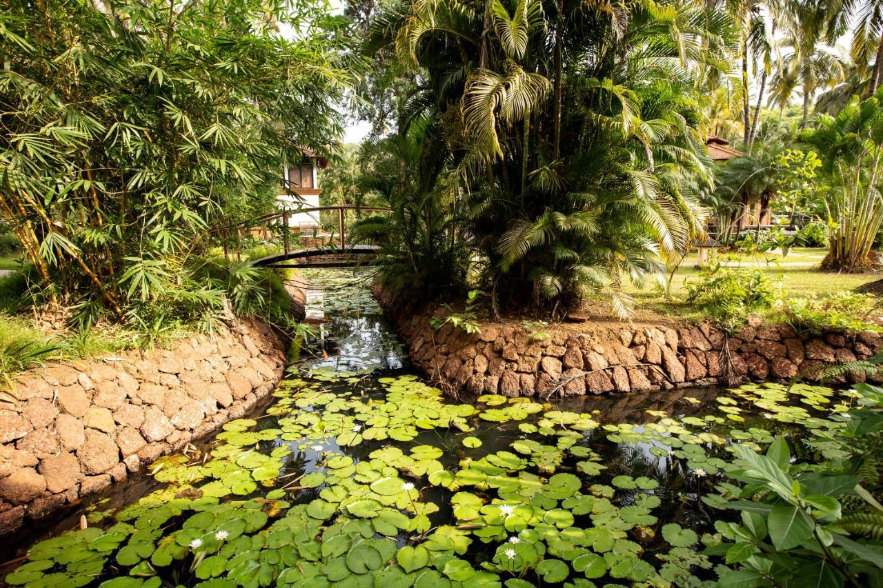 Coconut Creek Resort - Dabolim Airport Mormugao Ngoại thất bức ảnh