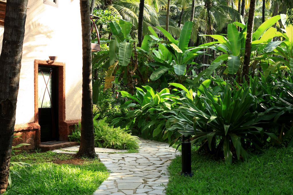 Coconut Creek Resort - Dabolim Airport Mormugao Ngoại thất bức ảnh